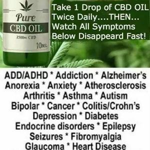 Meet your Posher, Timothy